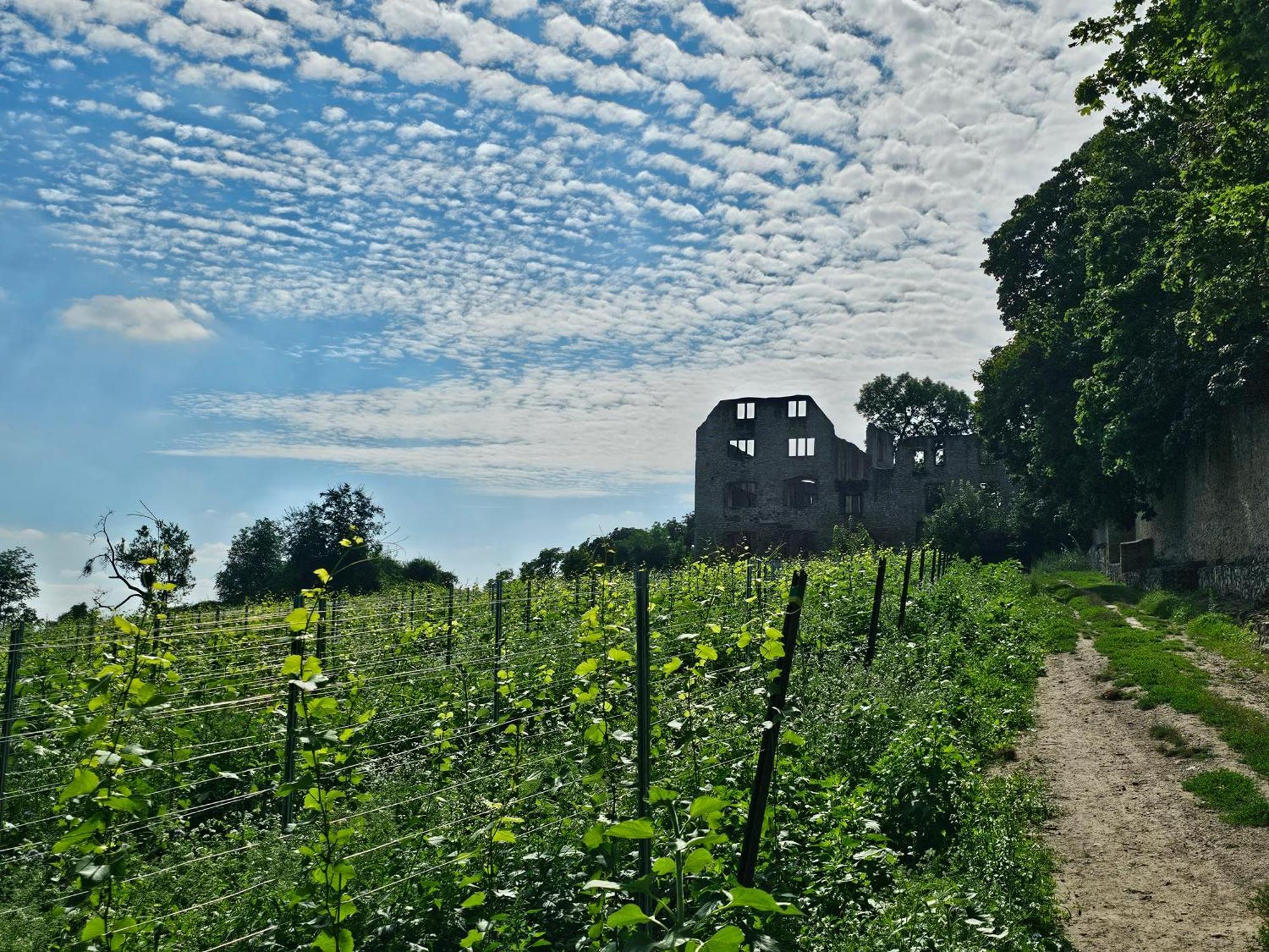 Moderne Doppelhaushaelfte In Oppenheim Villa Exteriör bild